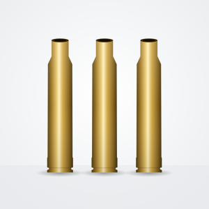 300 Win Mag